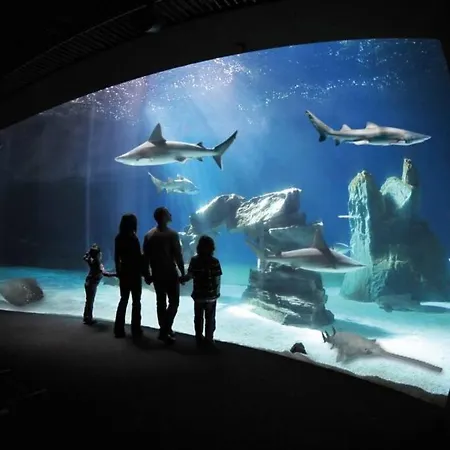 La Graziosa Fully Air Conditioned Flat Apartament *