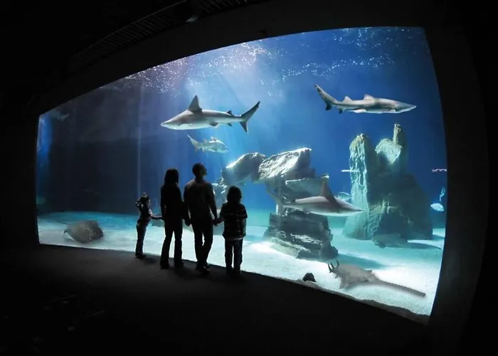 La Graziosa Fully Air Conditioned Flat Διαμέρισμα *